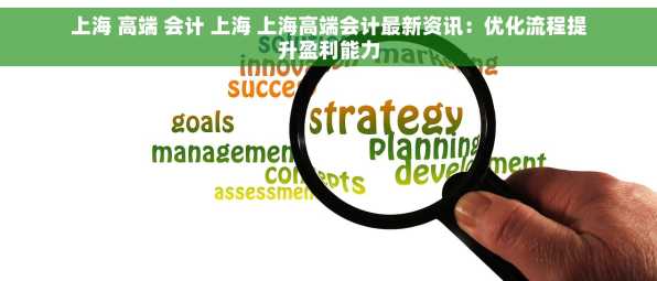上海 高端 会计 上海 上海高端会计最新资讯：优化流程提升盈利能力