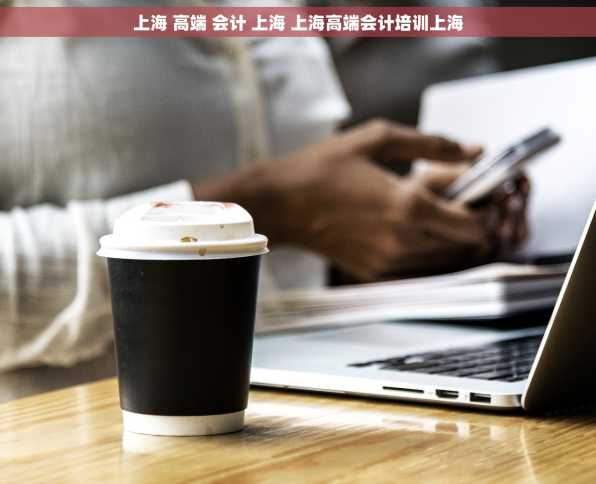 上海 高端 会计 上海 上海高端会计培训上海