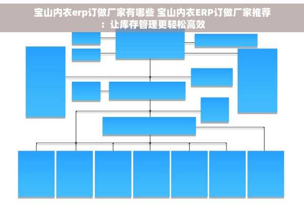 宝山内衣erp订做厂家有哪些 宝山内衣ERP订做厂家推荐：让库存管理更轻松高效