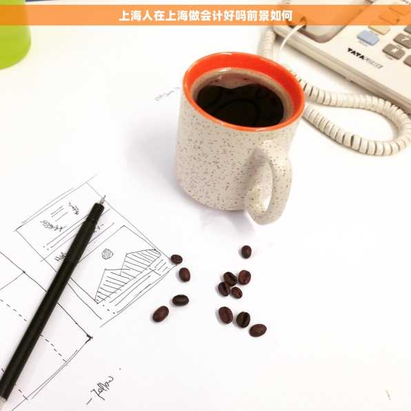 上海人在上海做会计好吗前景如何