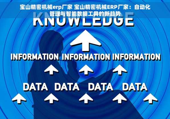 宝山精密机械erp厂家 宝山精密机械ERP厂家：自动化管理与智能数据工具的新趋势