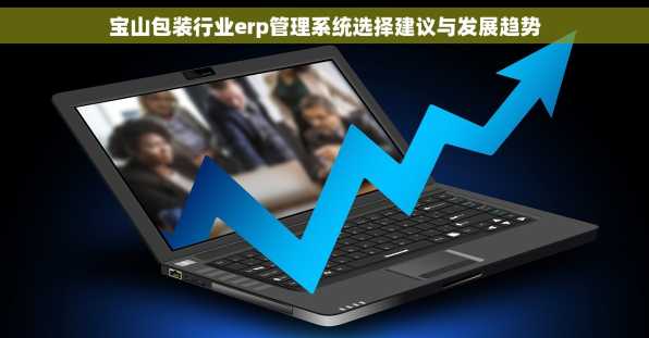 宝山包装行业erp管理系统选择建议与发展趋势