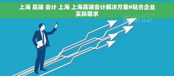 上海 高端 会计 上海 上海高端会计解决方案#贴合企业实际需求