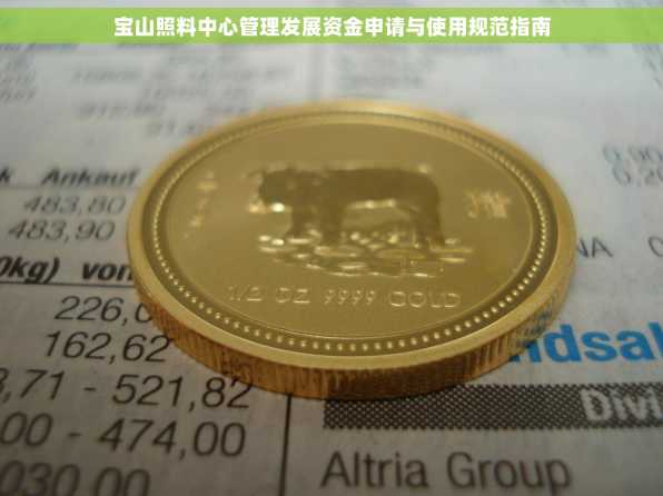 宝山照料中心管理发展资金申请与使用规范指南