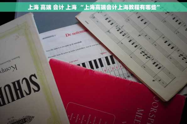 上海 高端 会计 上海 “上海高端会计上海教程有哪些”