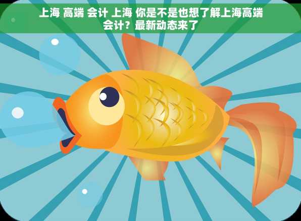 上海 高端 会计 上海 你是不是也想了解上海高端会计？最新动态来了