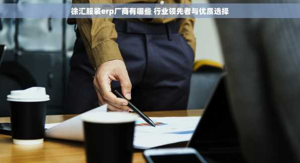 徐汇服装erp厂商有哪些 行业领先者与优质选择