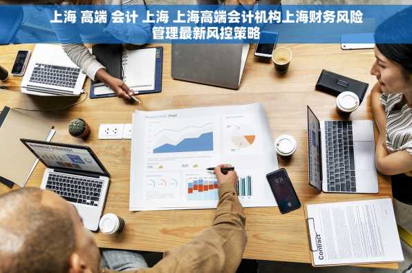 上海 高端 会计 上海 上海高端会计机构上海财务风险管理最新风控策略