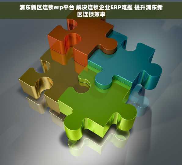 浦东新区连锁erp平台 解决连锁企业ERP难题 提升浦东新区连锁效率