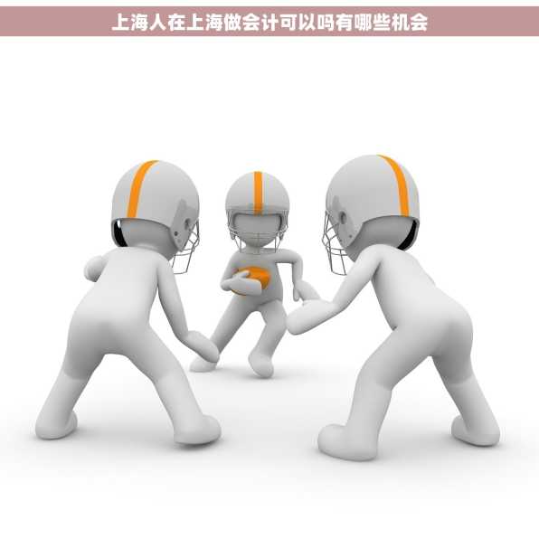上海人在上海做会计可以吗有哪些机会