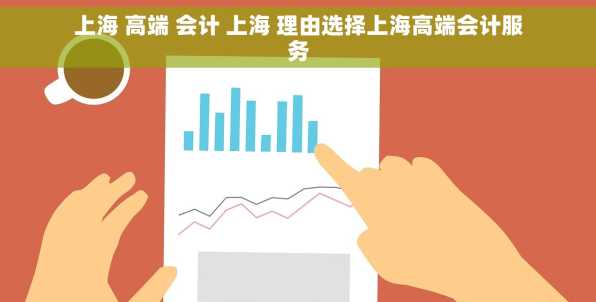 上海 高端 会计 上海 理由选择上海高端会计服务