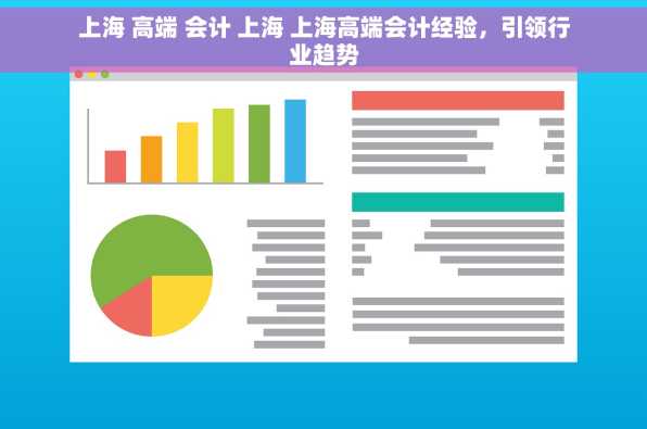 上海 高端 会计 上海 上海高端会计经验，引领行业趋势