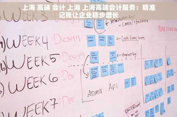 上海 高端 会计 上海 上海高端会计服务：精准记账让企业稳步增长