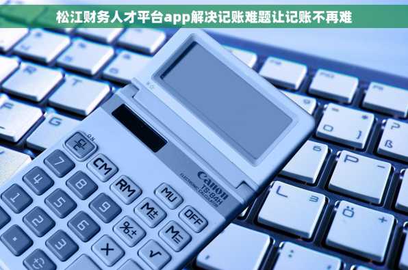 松江财务人才平台app解决记账难题让记账不再难