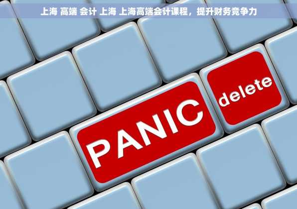 上海 高端 会计 上海 上海高端会计课程，提升财务竞争力