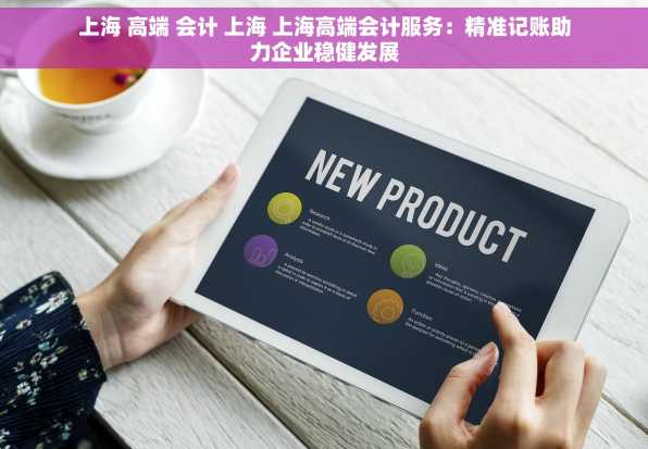 上海 高端 会计 上海 上海高端会计服务：精准记账助力企业稳健发展