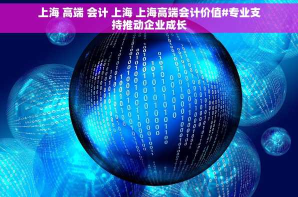 上海 高端 会计 上海 上海高端会计价值#专业支持推动企业成长