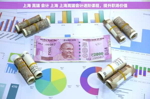 上海 高端 会计 上海 上海高端会计进阶课程，提升职场价值