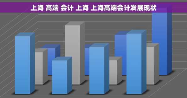 上海 高端 会计 上海 上海高端会计发展现状