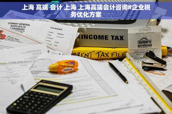 上海 高端 会计 上海 上海高端会计咨询#企业税务优化方案