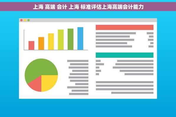 上海 高端 会计 上海 标准评估上海高端会计能力