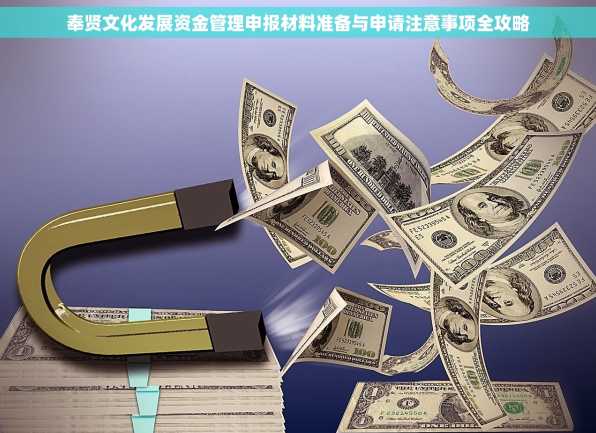 奉贤文化发展资金管理申报材料准备与申请注意事项全攻略