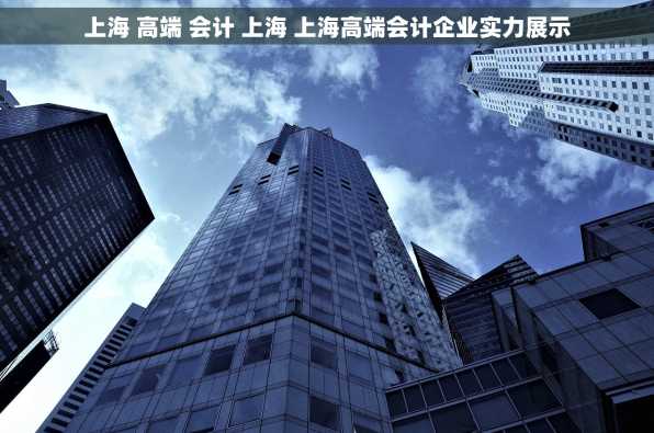 上海 高端 会计 上海 上海高端会计企业实力展示