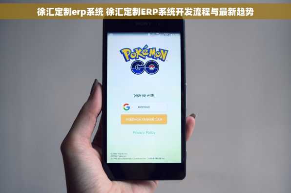徐汇定制erp系统 徐汇定制ERP系统开发流程与最新趋势