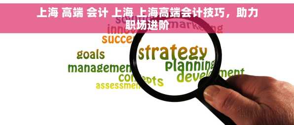 上海 高端 会计 上海 上海高端会计技巧，助力职场进阶