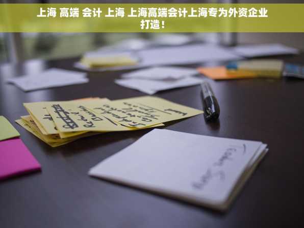 上海 高端 会计 上海 上海高端会计上海专为外资企业打造！
