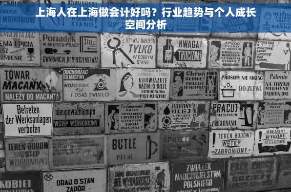 上海人在上海做会计好吗？行业趋势与个人成长空间分析