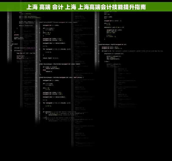 上海 高端 会计 上海 上海高端会计技能提升指南