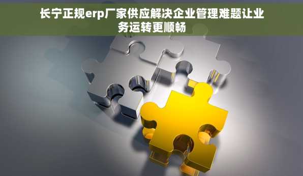 长宁正规erp厂家供应解决企业管理难题让业务运转更顺畅