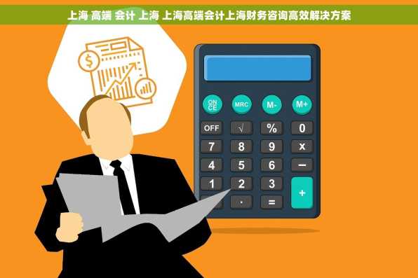 上海 高端 会计 上海 上海高端会计上海财务咨询高效解决方案