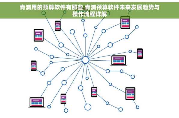 青浦用的预算软件有那些 青浦预算软件未来发展趋势与操作流程详解