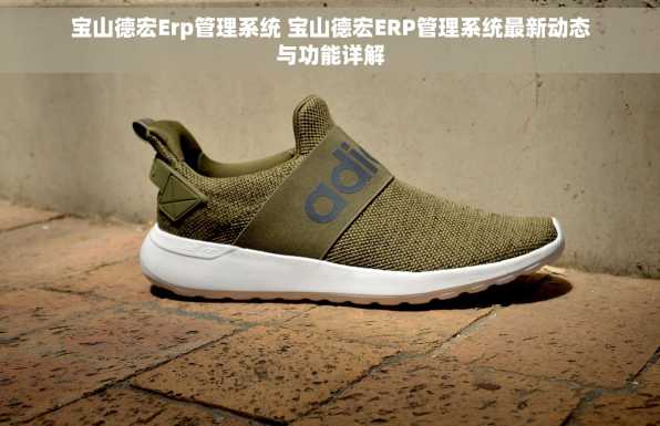 宝山德宏Erp管理系统 宝山德宏ERP管理系统最新动态与功能详解