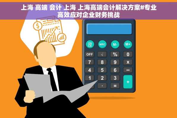 上海 高端 会计 上海 上海高端会计解决方案#专业高效应对企业财务挑战