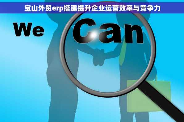 宝山外贸erp搭建提升企业运营效率与竞争力