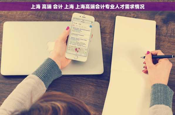 上海 高端 会计 上海 上海高端会计专业人才需求情况