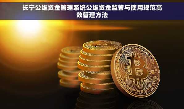 长宁公维资金管理系统公维资金监管与使用规范高效管理方法