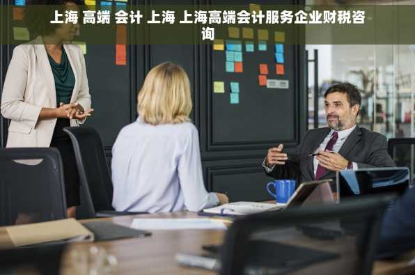 上海 高端 会计 上海 上海高端会计服务企业财税咨询