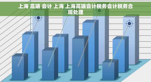 上海 高端 会计 上海 上海高端会计税务会计税务合规处理