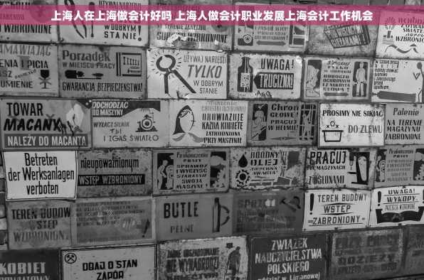 上海人在上海做会计好吗 上海人做会计职业发展上海会计工作机会