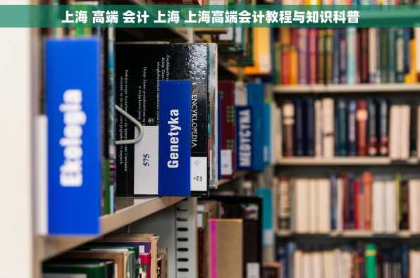 上海 高端 会计 上海 上海高端会计教程与知识科普