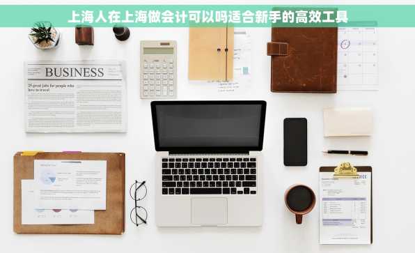 上海人在上海做会计可以吗适合新手的高效工具