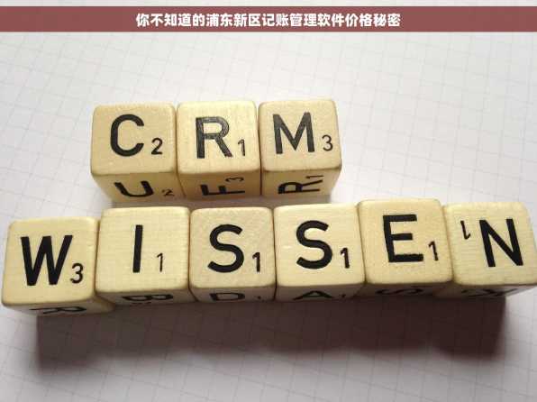 你不知道的浦东新区记账管理软件价格秘密