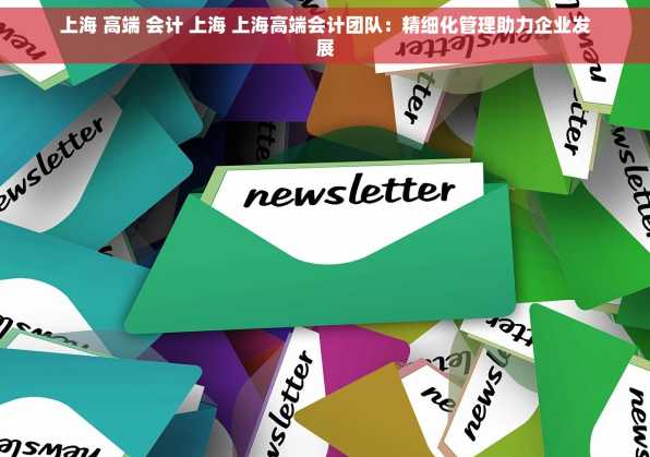 上海 高端 会计 上海 上海高端会计团队：精细化管理助力企业发展