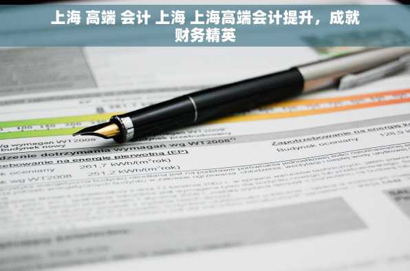 上海 高端 会计 上海 上海高端会计提升，成就财务精英