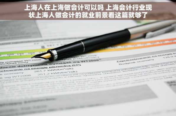 上海人在上海做会计可以吗 上海会计行业现状上海人做会计的就业前景看这篇就够了