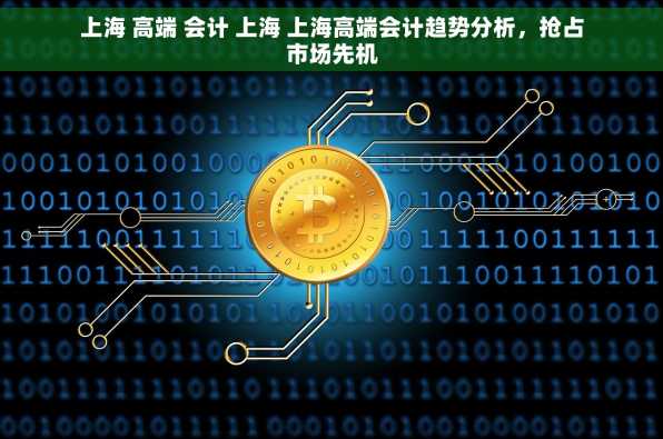 上海 高端 会计 上海 上海高端会计趋势分析，抢占市场先机